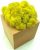 Стабилизированный мох SO Green Соу Грин желтый в деревянном горшке 8×8 см (00261)