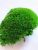 Стабилизированный мох кочки Green Ecco Moss Зелёный 500 грамм
