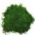 Стабилизированный мох плоский Green Ecco Moss Зелёный 1 кв.м