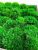 Стабилизированный мох прованс Green Ecco Moss Зелёный весенний 1 кг