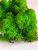 Стабилизированный мох ягель Deco Зелёный 500 грамм