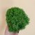 Стабилизированный мох ягель Green Ecco Moss Оливковый 1 кг