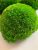 Стабилизированный мох кочковой Green Ecco Moss Яркий зеленый 1 кв.м