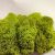 Стабилизированный мох ягель Deco Желто-зеленый 1 кг