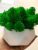 Кашпо из стабилизированного мха ягель Green Ecco Moss Зеленый