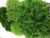 Стабилизированный мох папоротниковый Green Ecco Moss Зелёный 200 грамм