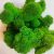 Стабилизированный мох ягель Deco Зелёный травяной 1 кг